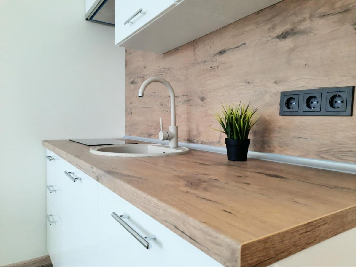 M&M Apartment V Self Check-In Panevėžys エクステリア 写真