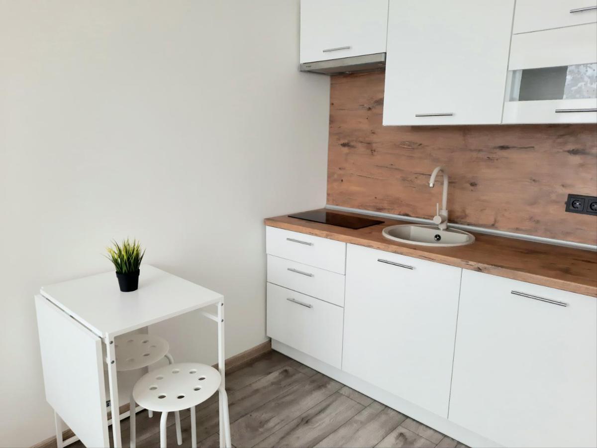 M&M Apartment V Self Check-In Panevėžys エクステリア 写真